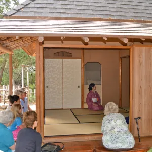 Tea Ceremony, Member Appreciation Event