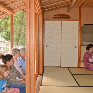 Tea Ceremony, Member Appreciation Event