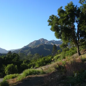 SW Trail, SBBG