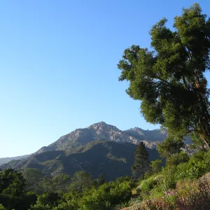 SW Trail, SBBG