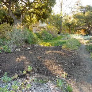 Ground Cover display, looking towards gift shop and Visitor Kiosk