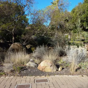Ground Cover display
