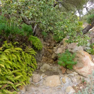 Bonadao Garden