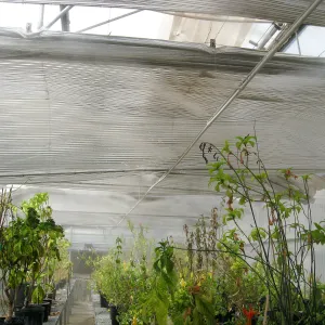 Rancho Santa Ana Botanic Garden Nursery