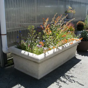 Rancho Santa Ana Botanic Garden Nursery