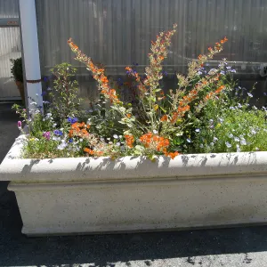 Rancho Santa Ana Botanic Garden Nursery