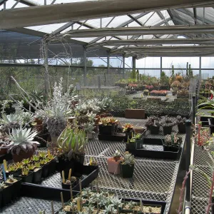 Rancho Santa Ana Botanic Garden Nursery
