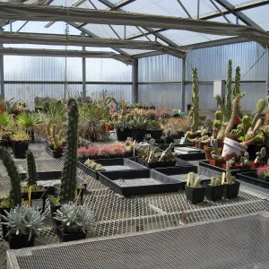 Rancho Santa Ana Botanic Garden Nursery