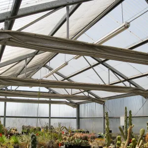 Rancho Santa Ana Botanic Garden Nursery