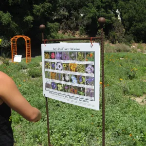 Rancho Santa Ana Botanic Garden