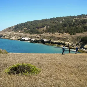 Santa Rosa Island