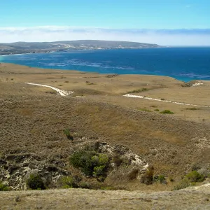 Santa Rosa Island from near Torrey Pine grove