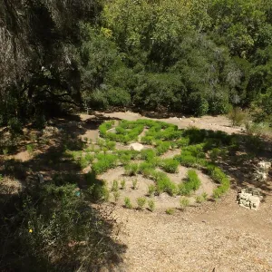 Centennial Maze