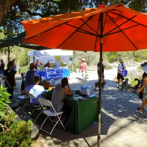 Trails n Tails 2015