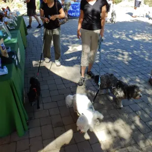 Trails n Tails 2015