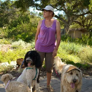 Trails n Tails 2015