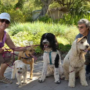 Trails n Tails 2015
