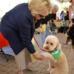 Trails n Tails 2015