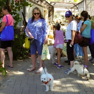 Trails n Tails 2015