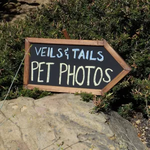 Trails n Tails 2015