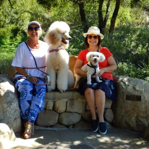 Trails n Tails 2015