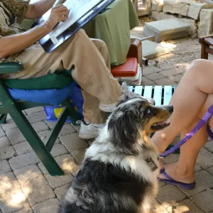 Trails n Tails 2015, caricature artist