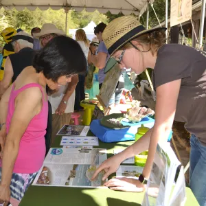 Trails n Tails 2015, watershed information table