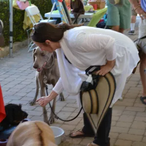 Trails n Tails 2015