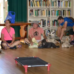 Trails n Tails 2015, dog obedience training demo
