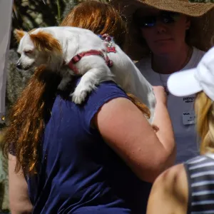 Trails n Tails 2015