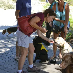Trails n Tails 2015