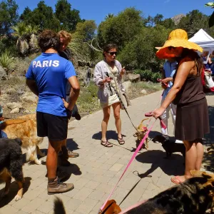 Trails n Tails 2015
