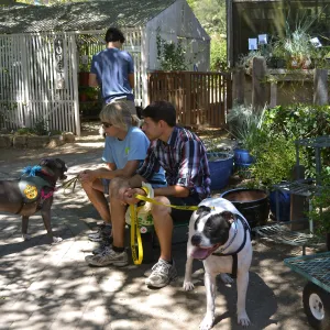 Trails n Tails 2015