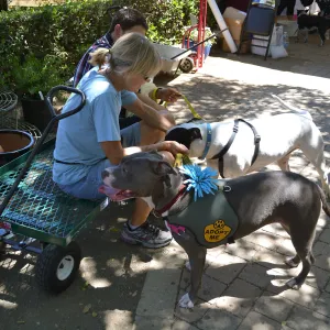 Trails n Tails 2015