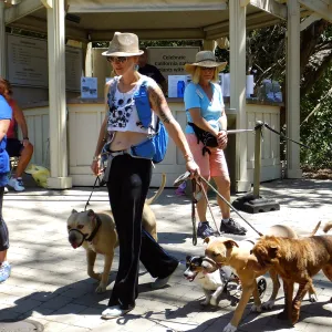Trails n Tails 2015
