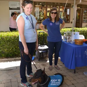 Trails n Tails 2015