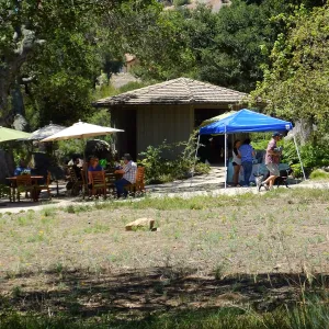 Trails n Tails 2015