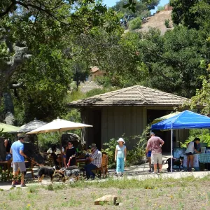 Trails n Tails 2015