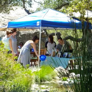 Trails n Tails 2015, Veils & Tails photographer exhibit