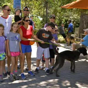 Trails n Tails 2015