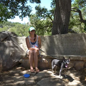 Trails n Tails 2015