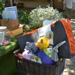 Trails n Tails 2015