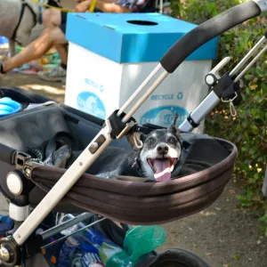 Trails n Tails 2015