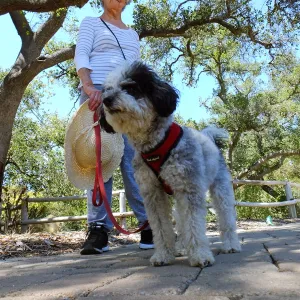 Trails n Tails 2015