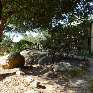 Home Demonstration Garden Renovation, view 7, east of Cottage, first day of demolition work