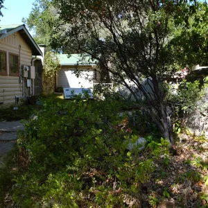 Home Demonstration Garden Renovation, view 8, north of Cottage, looking west, first day of demolition work