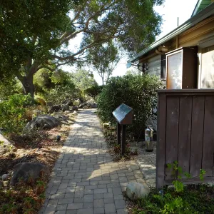 Home Demonstration Garden Renovation, view 6, looking south along path east of Cottage, first day of demolition work
