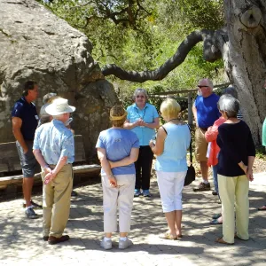 Docent training tour