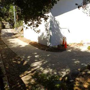 Home Demonstration Garden Renovation, view 31, looking towards southwest corner of Herbarium, before path demolition
