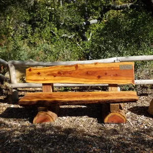 Douglas Poyourow bench shortly after installation